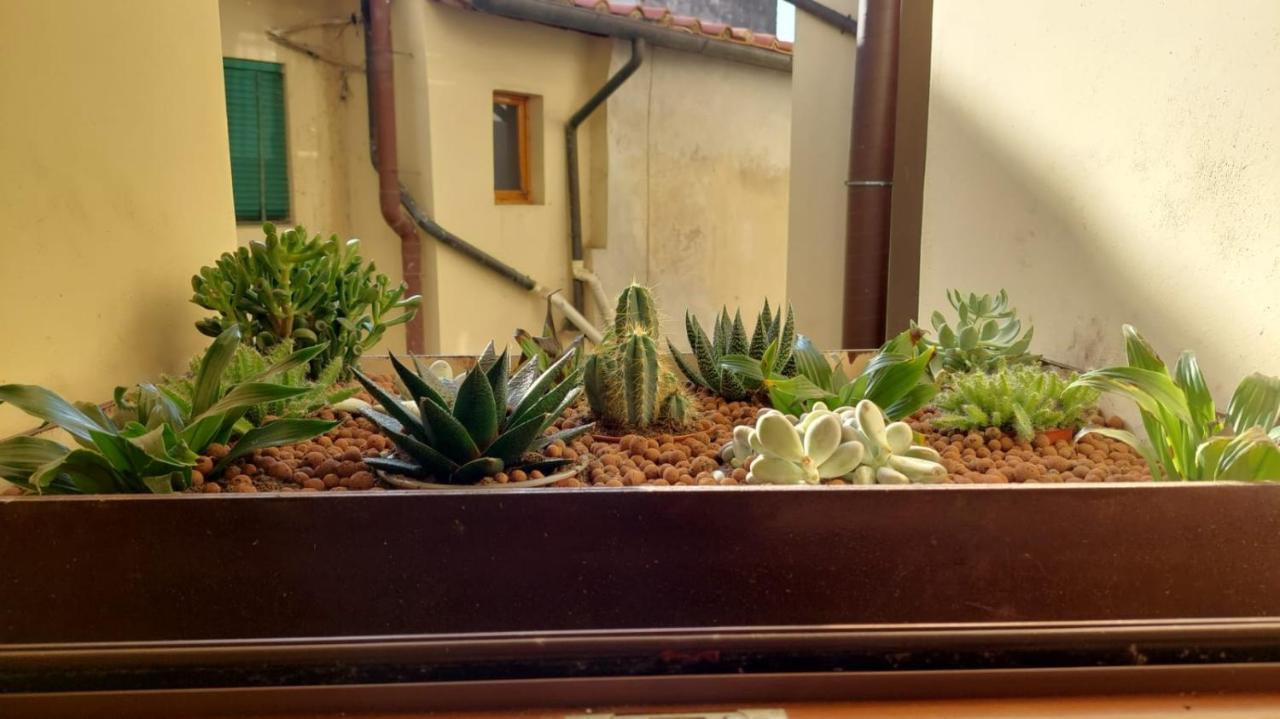 Casa Vacanze I Leoni Empoli Zewnętrze zdjęcie